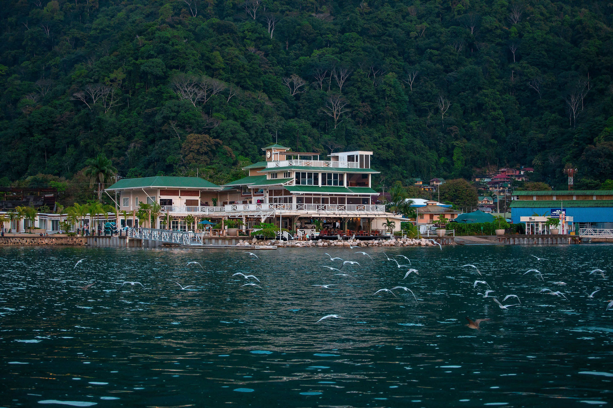 sanctuary boutique residences golfo dulce costa rica