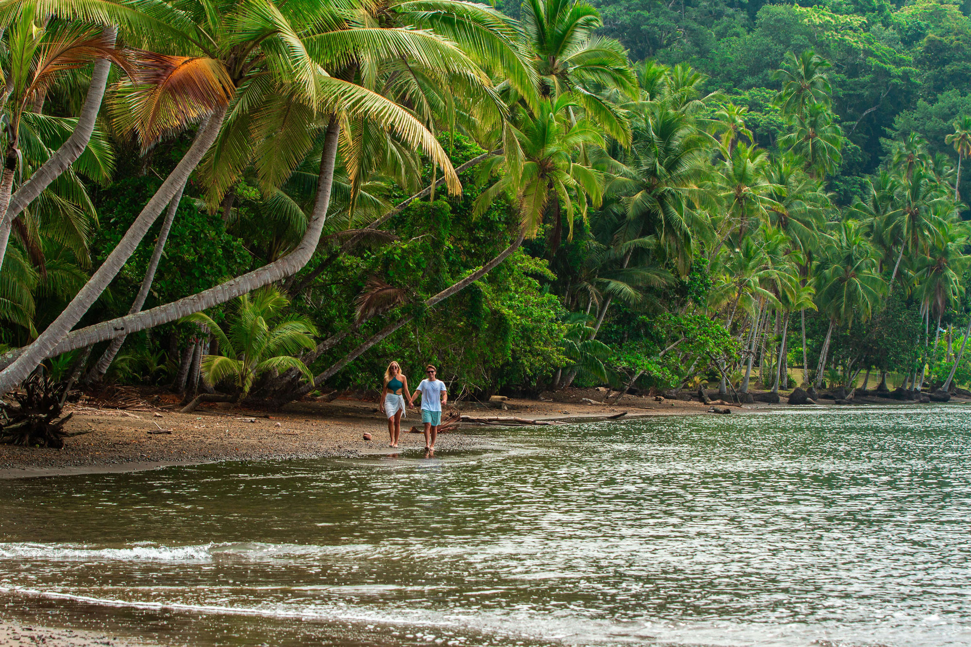 Couple walking palm-lined beach along Golfo Dulce, Golfito Costa Rica