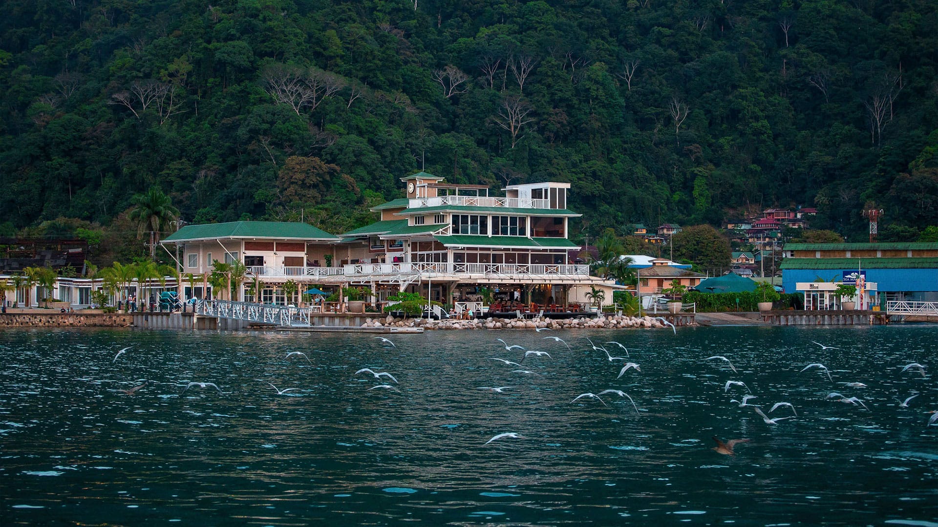 sanctuary boutique residences golfo dulce costa rica