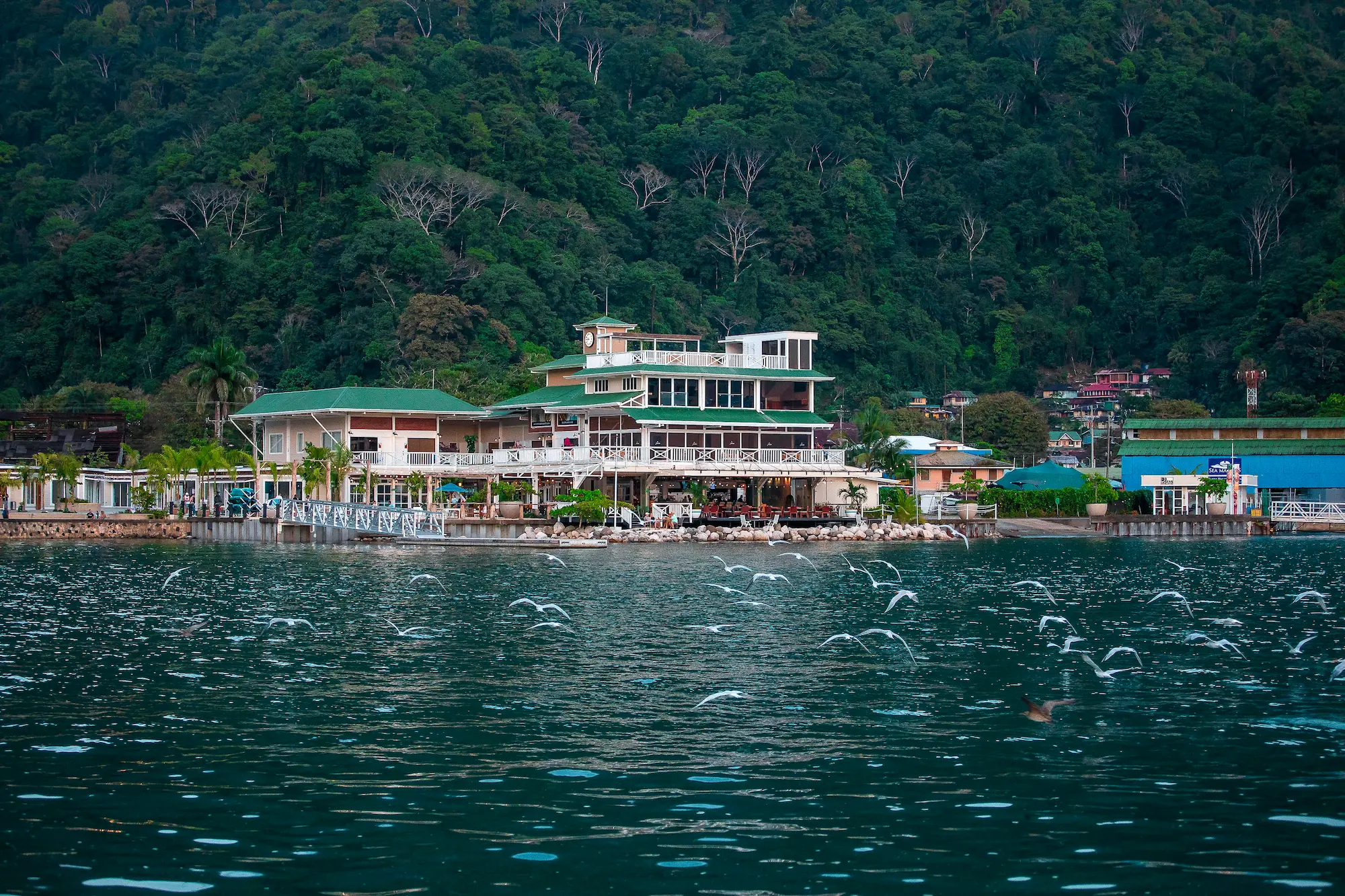 Golfo Dulce, Costa Rica