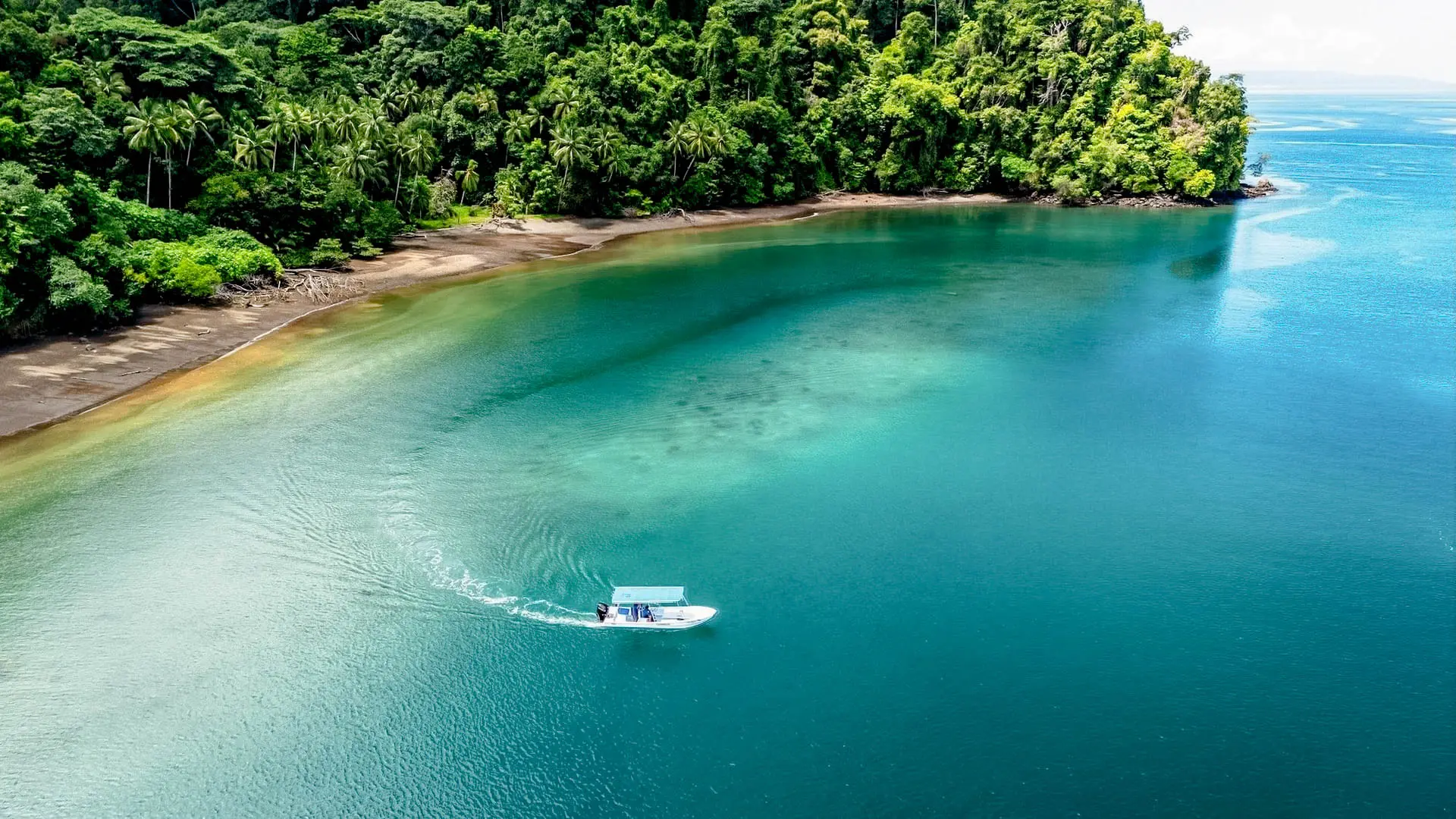 Aerial view of Marina Bahia Golfito on the Golfo Dulce, Costa Rica