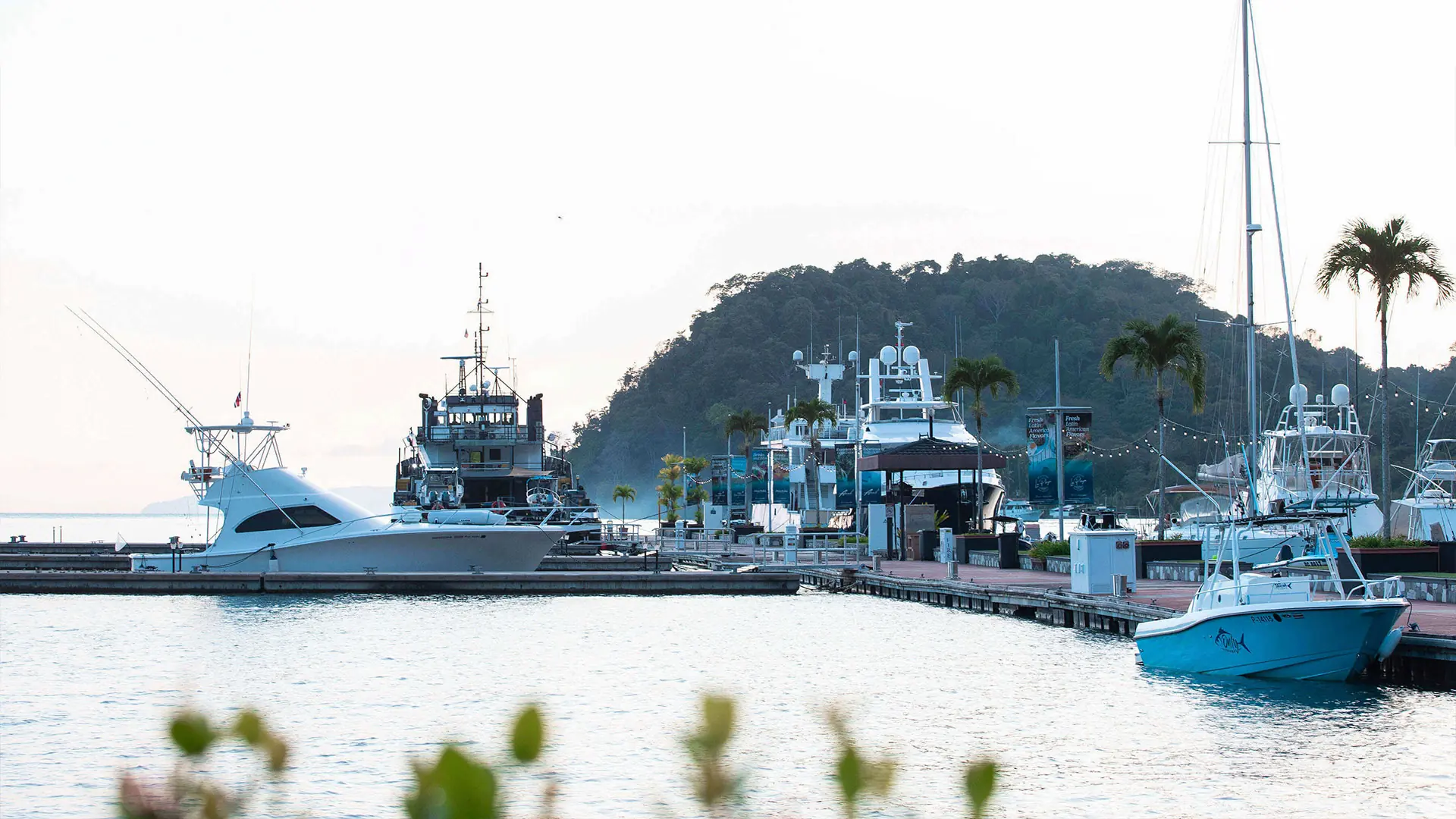 Golfo Dulce, Costa Rica