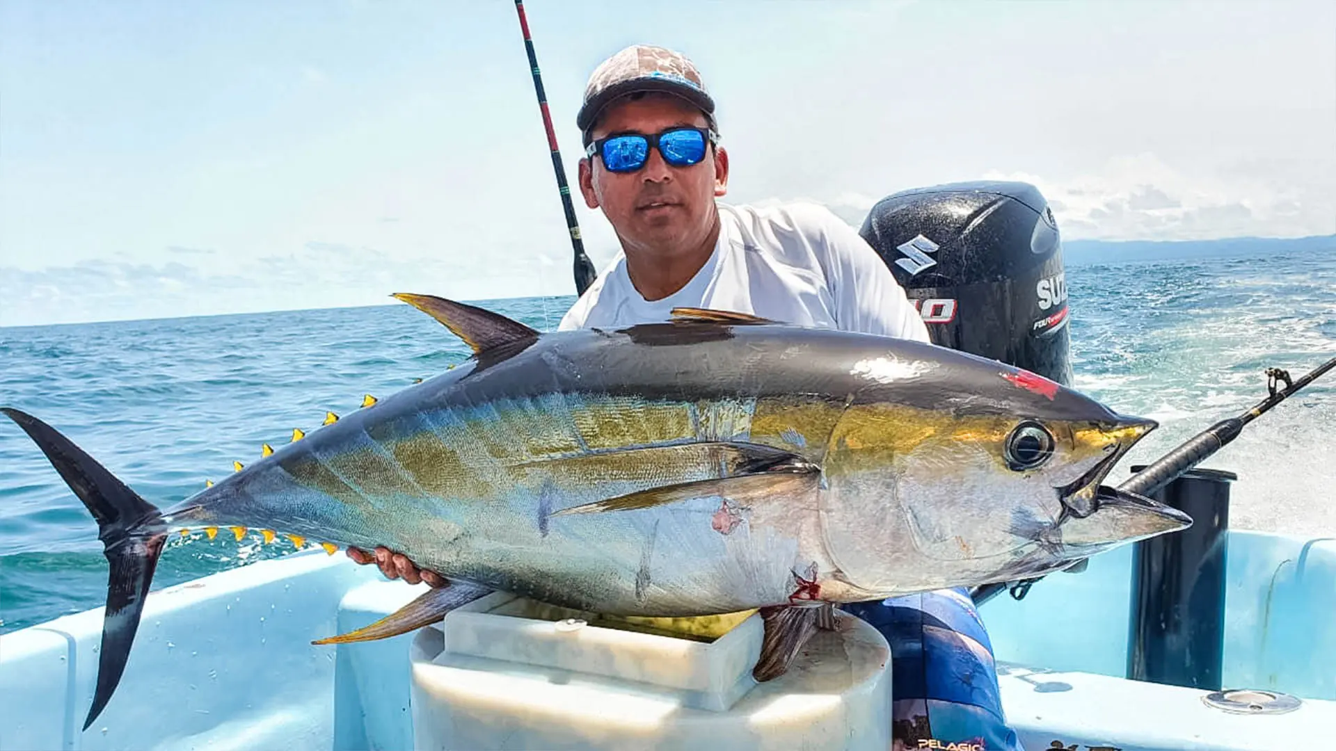 Golfo Dulce, Costa Rica