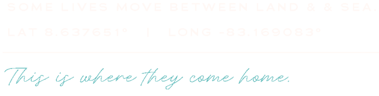 Some lives move between land & sea. Lat 8.637651 degrees, Long -83.169083 degrees. This is where they come home.